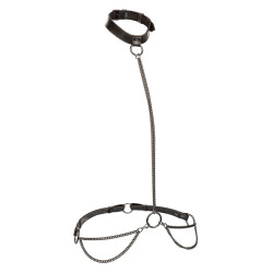 Calexotics - Euphoria Collier Licol Et Laisse Grande Taille